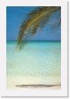 Martinique 06 * 1044 x 1572 * (334KB)